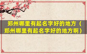 郑州哪里有起名字好的地方（郑州哪里有起名字好的地方啊）
