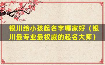 银川给小孩起名字哪家好（银川最专业最权威的起名大师）