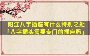 阳江八字插座有什么特别之处「八字插头需要专门的插座吗」