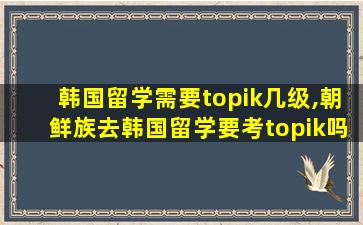 韩国留学需要topik几级,朝鲜族去韩国留学要考topik吗
