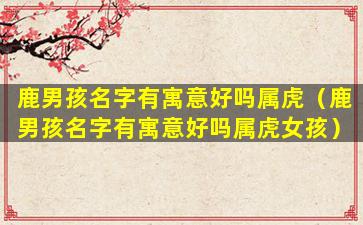 鹿男孩名字有寓意好吗属虎（鹿男孩名字有寓意好吗属虎女孩）