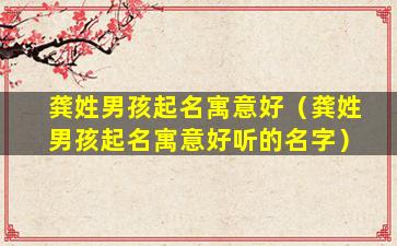 龚姓男孩起名寓意好（龚姓男孩起名寓意好听的名字）
